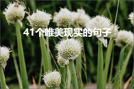 41个唯美现实的句子（文案193条）